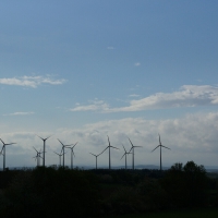 WIA VB Vogelsschredder warten auf Argeit DSC03838.jpg